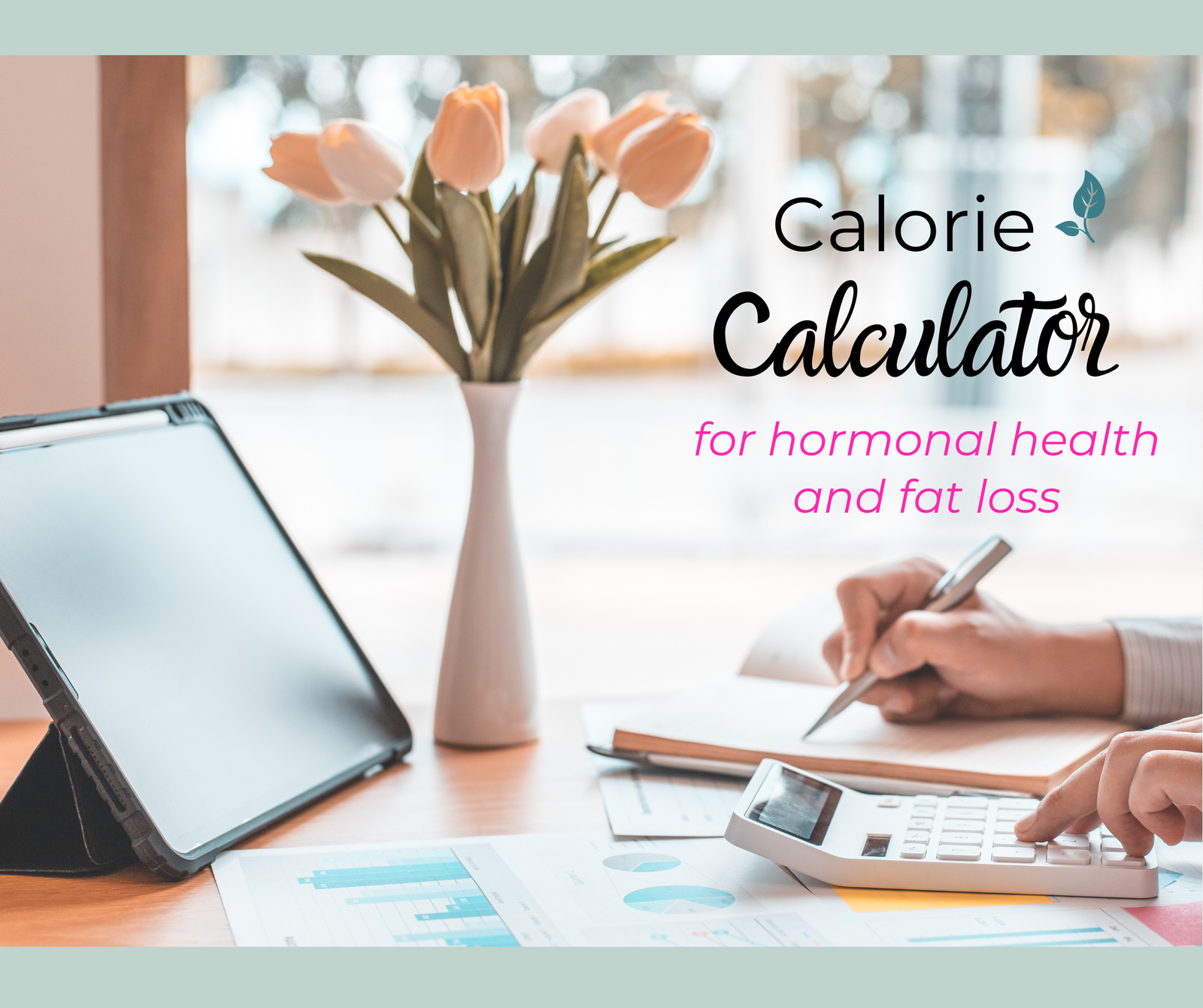 Calorie Calculator
