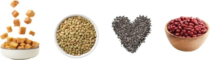 Protein Needs in Midlife